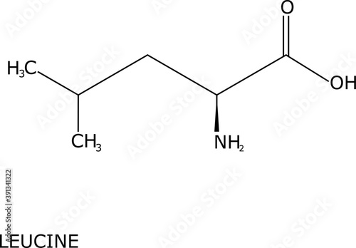 Leucine molecular structure, isolated on white background with its name labeled. it is a branched-chain amino acid (BCAA), essential for humans