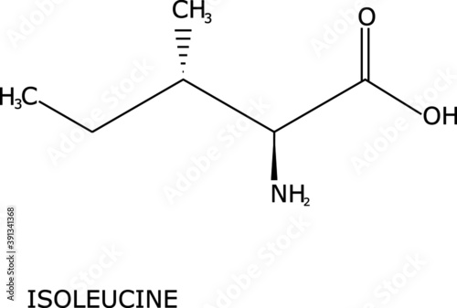 isoleucine molecular structure, isolated on white background with its name labeled. BCAA, important in the hemoglobin synthesis.