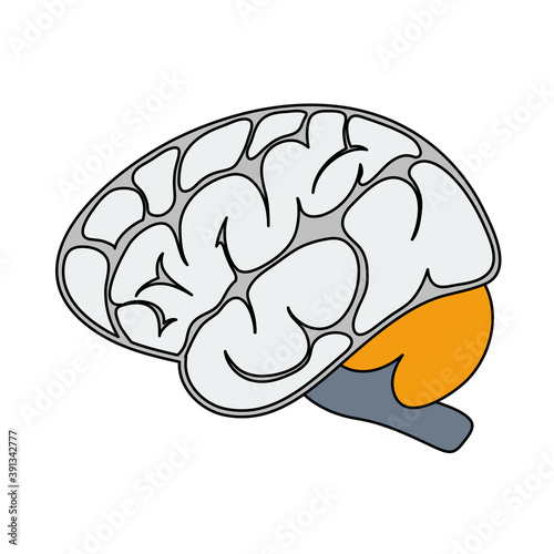 Brain Icon