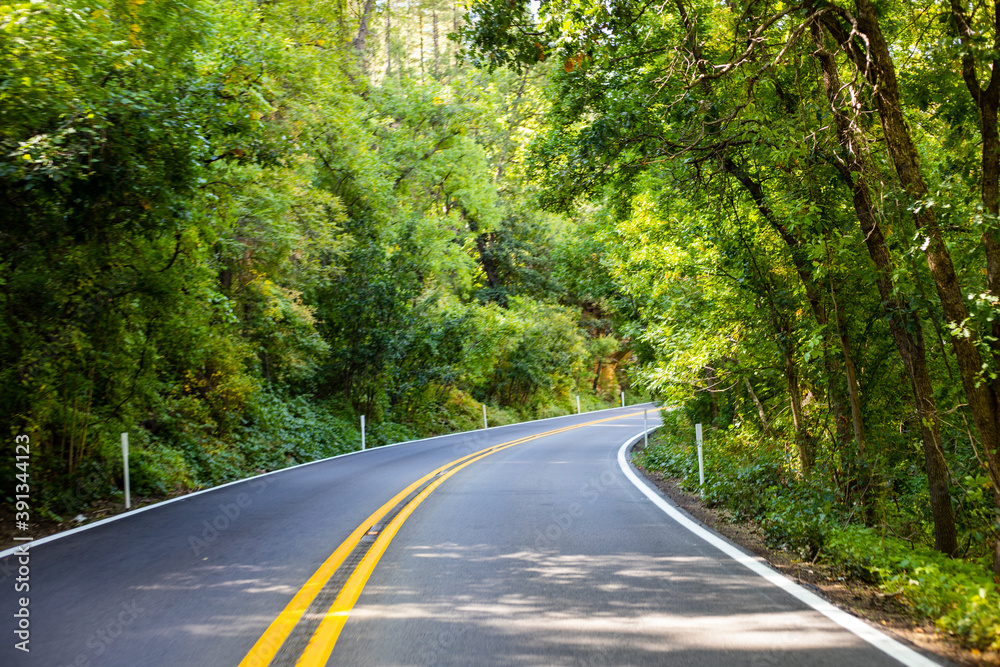 road in the forest