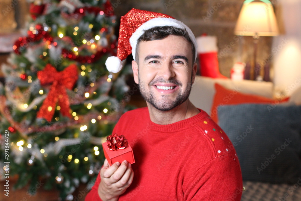Hansome man holding Christmas present Hansome man holding Christmas present
