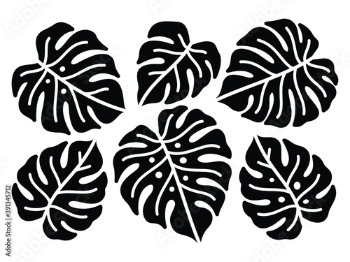 Set of tropical leaves. silhouette monstera leaf illustration. Symmetrical composition.  photo