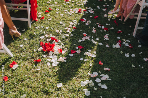 Multi-colored rose petals lie on the green grass close-up. Wedding ceremony and chairs, texture, copy space.