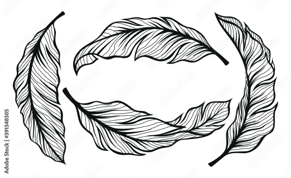 Obraz premium banana leaves illustration. set of vector leaves. hand drawn art. - Vector 