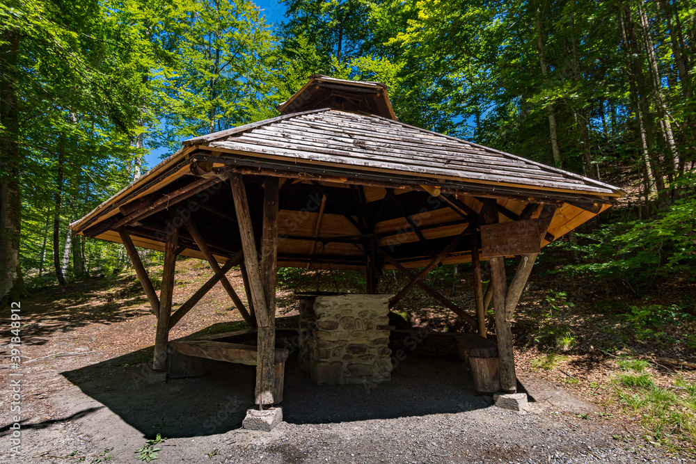 Beautiful hike on the Klosterweiher Weg near Salem
