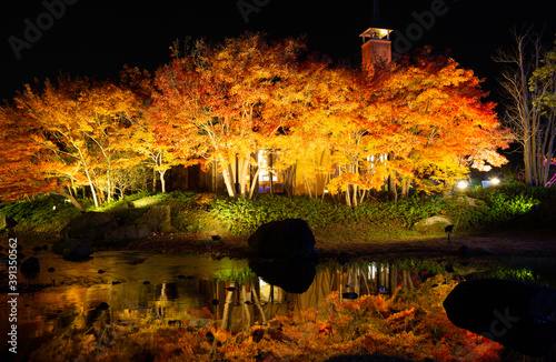 Nabana no Sato Illumination Event - Largest Winter Illumination Spots. photo