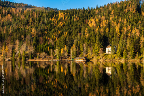 Beautiful forest on lake Erlaufsee on a sunny day photo