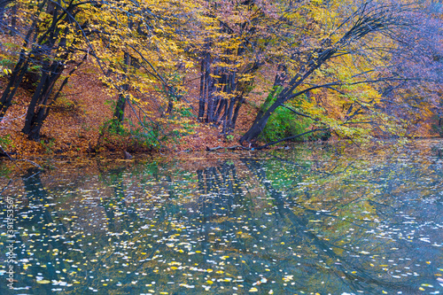 Colorful autumn trees refle...
