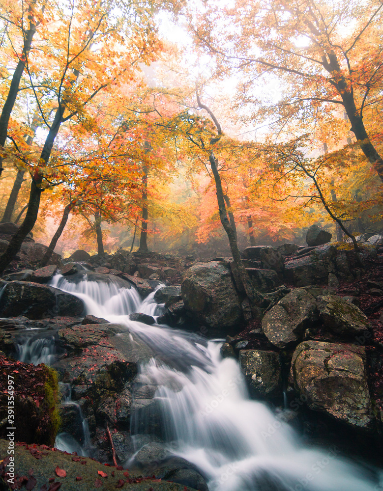 Beautiful autumn landscape with a mountain river in a beech forest. Waterfall flowing in the fall season. Beech trees with yellow, red and orange leaves. Montseny natural park, Barcelona, Catalonia.