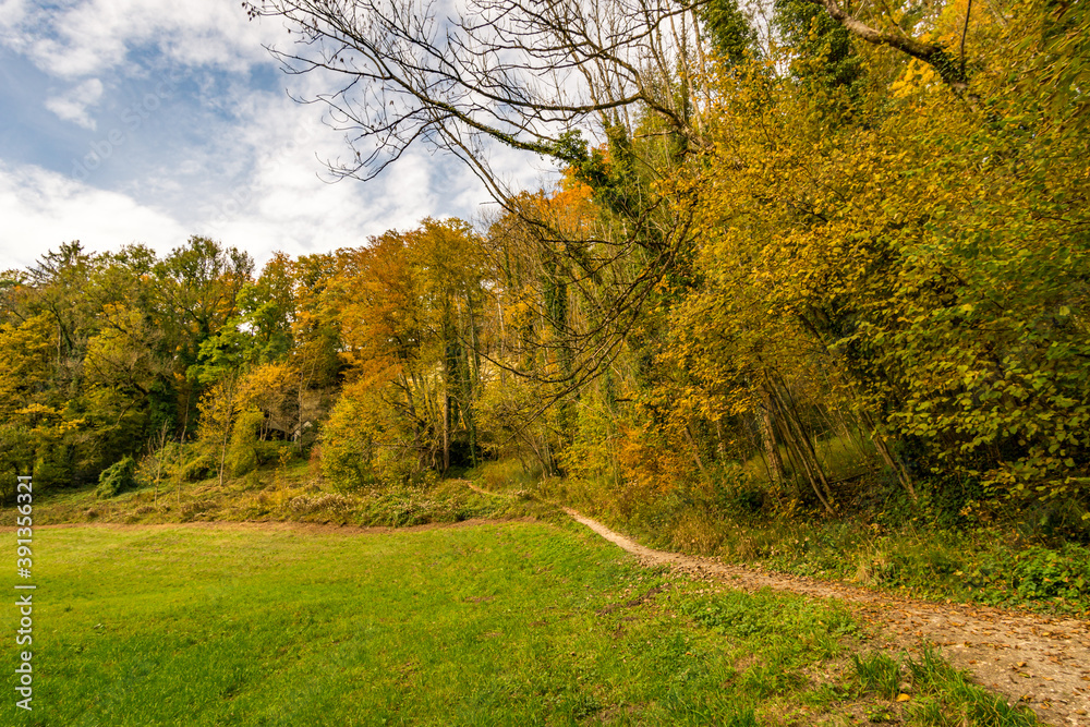 Fantastic autumn hike along the Aachtobel to the Hohenbodman observation tower