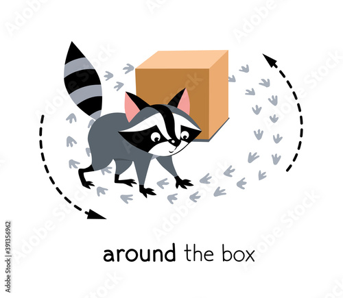 Preposition of movement. Raccoon walks around the box