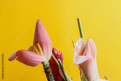 exotic tropical flowers on summer photo