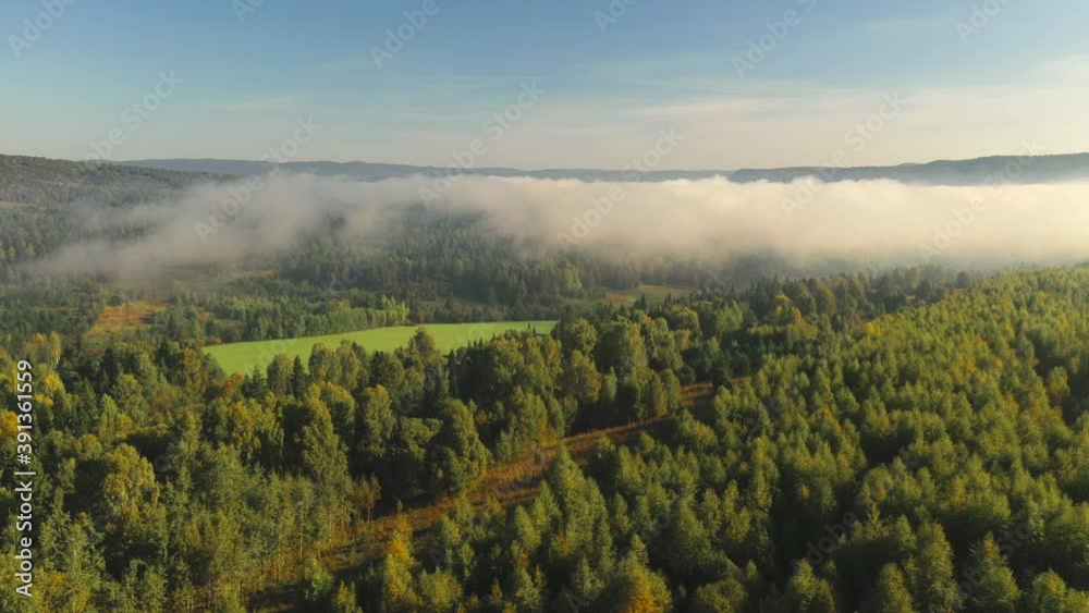 Bright colors of autumn. Dawn. Fog. Bright colors of autumn. Dawn. Fog.