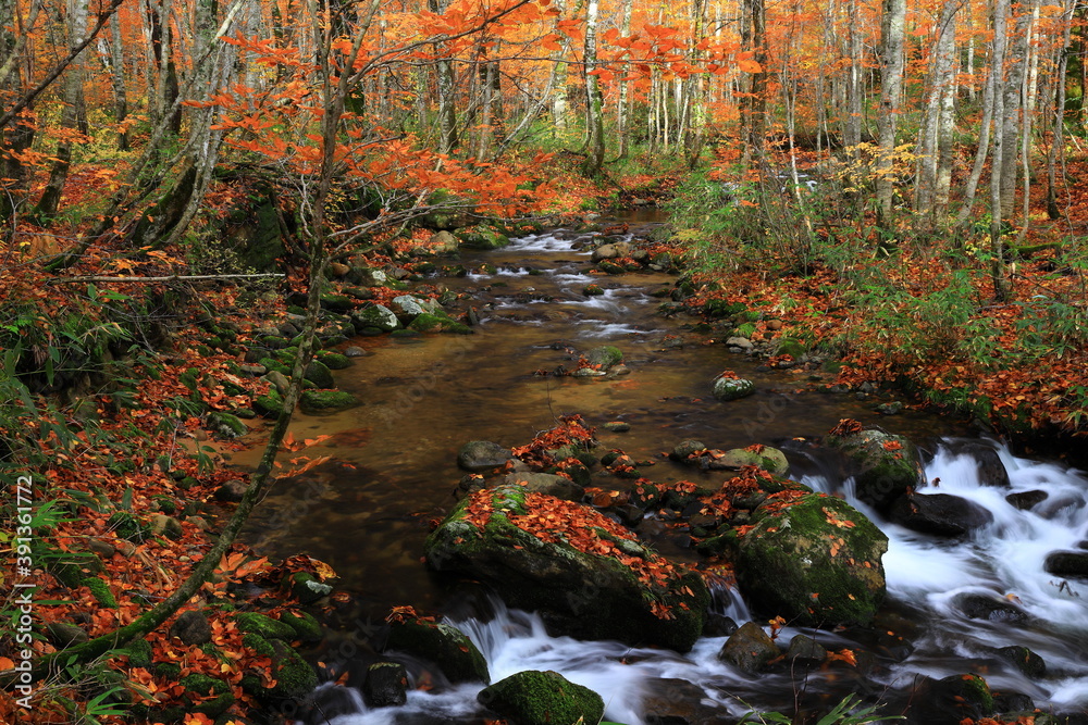 紅葉の桃洞渓谷 紅葉の桃洞渓谷