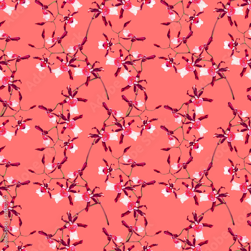 Seamless pattern with pink orchids on a light red background. Endless tropical exotic illustration with stems, buds and flowers.