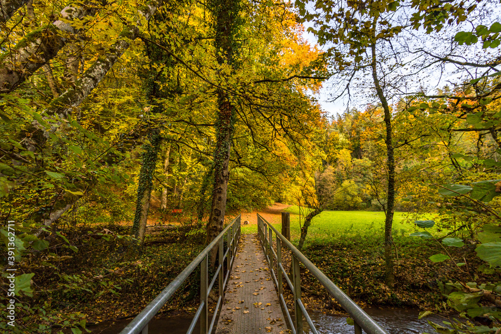 Fantastic autumn hike along the Aachtobel to the Hohenbodman observation tower Fantastic autumn hike along the Aachtobel to the Hohenbodman observation tower