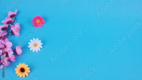 spring floral on a blue background. Space for text. Top view with copy space  flat lay