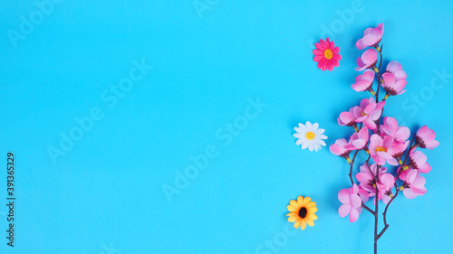 spring floral on a blue background. Space for text. Top view with copy space, flat lay © Rizky
