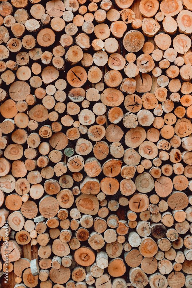 Pila de troncos de madera cortados en leños