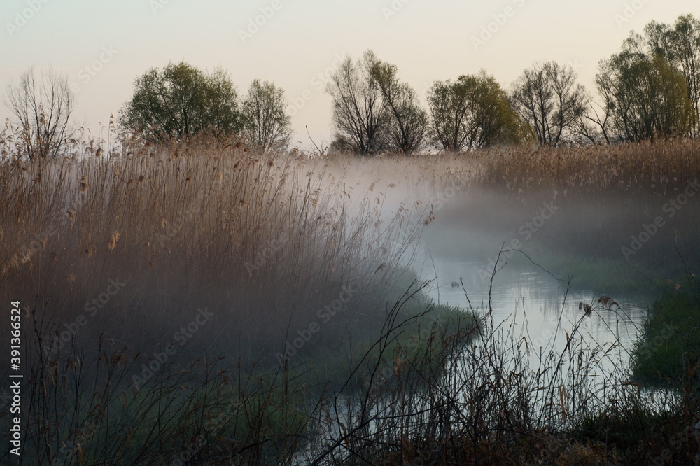 custom made wallpaper toronto digitalPostomia