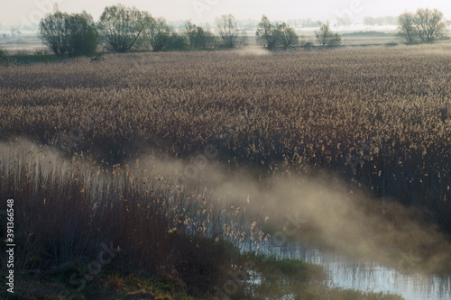 Wallpaper Mural Nad Postomią Torontodigital.ca