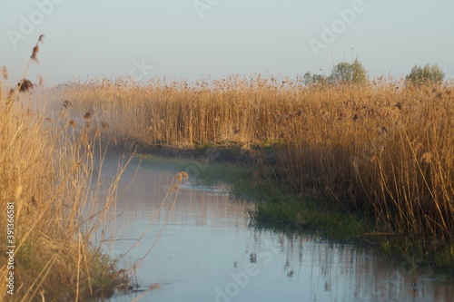 Wallpaper Mural Postomia Torontodigital.ca