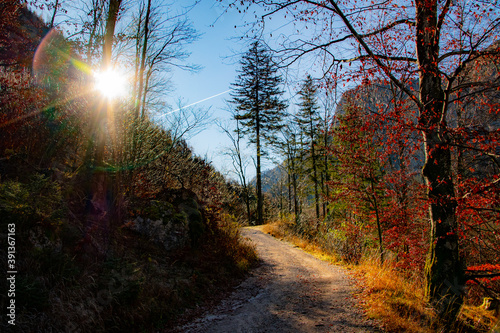 Herbststimmung