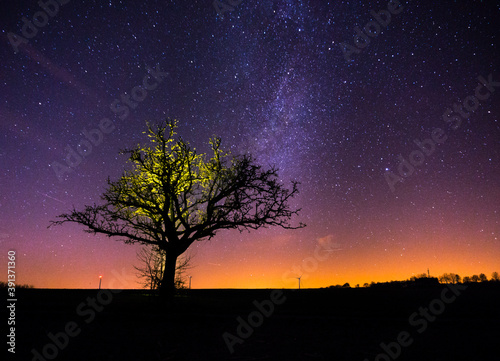 Vertical panorama of winter milkyway behind a naked yellow illuminated tree