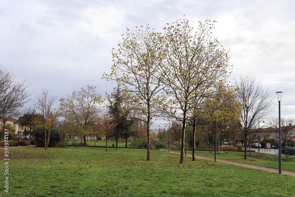 Le parc Bourlione, grand parc public et espace vert, ville de Corbas, département du Rhône, France Le parc Bourlione, grand parc public et espace vert, ville de Corbas, département du Rhône, France