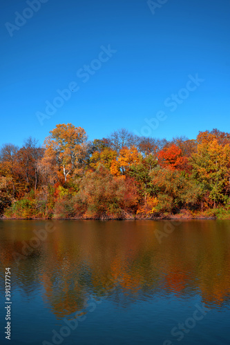 Reflection of a beautiful autumn forest in the river, against the background of a clear blue sky without clouds