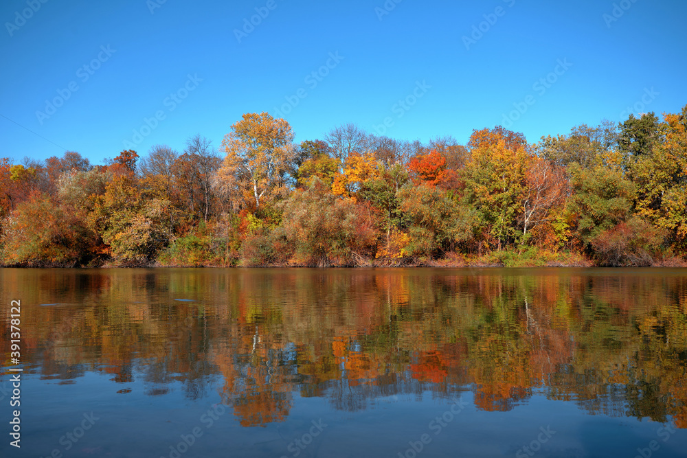 Reflection of a beautiful autumn forest in the river, against the background of a clear blue sky without clouds Reflection of a beautiful autumn forest in the river, against the background of a clear blue sky without clouds