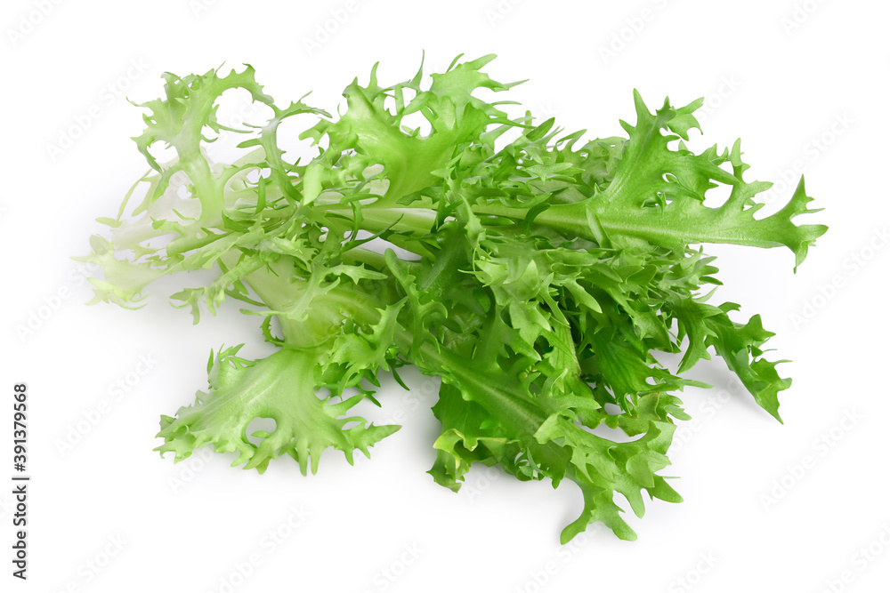 Fresh green leaves of endive frisee chicory salad isolated on white background with clipping path and full depth of field Fresh green leaves of endive frisee chicory salad isolated on white background with clipping path and full depth of field