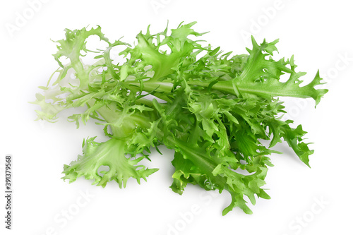 Fresh green leaves of endive frisee chicory salad isolated on white background with clipping path and full depth of field