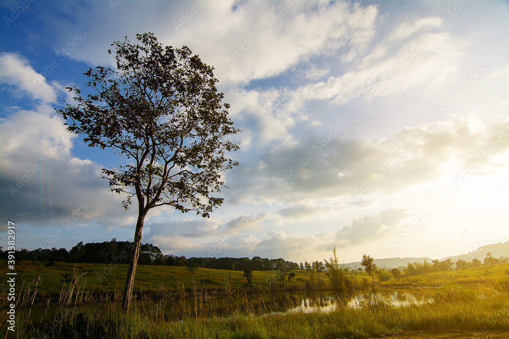 Landscape of Grassland and trees in Thung Salaeng Luang National Park Phetchabun province Thailand. Landscape of Grassland and trees in Thung Salaeng Luang National Park Phetchabun province Thailand.