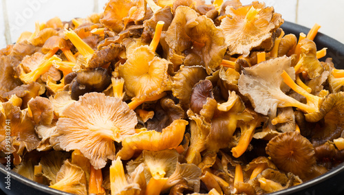 Forest mushrooms, winter chanterelles (Craterellus tubaeformis) in a frying pan during fall.