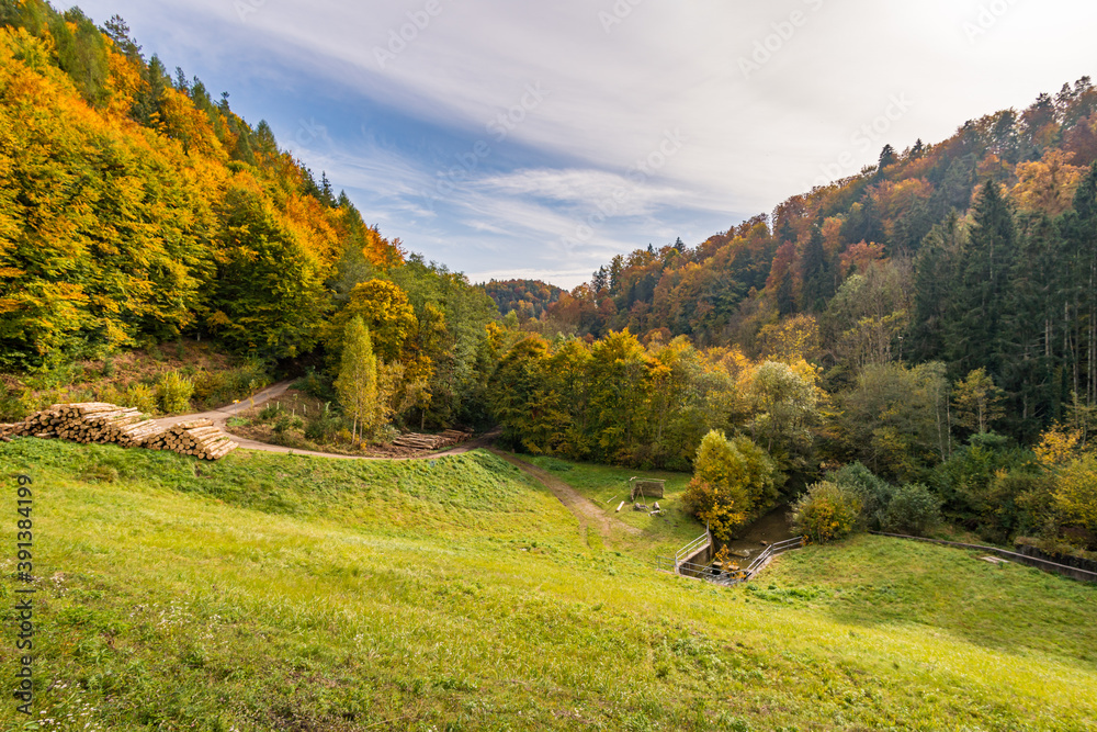 Fantastic autumn hike along the Aachtobel to the Hohenbodman observation tower