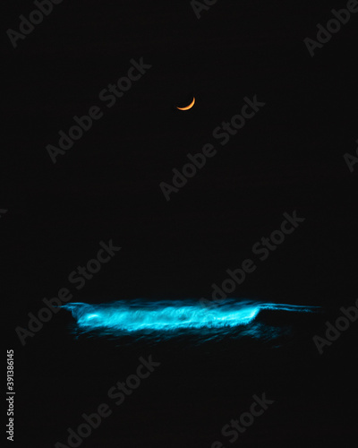 Φωτογραφία Bioluminescent night waves in San Diego, California at Black's Beach