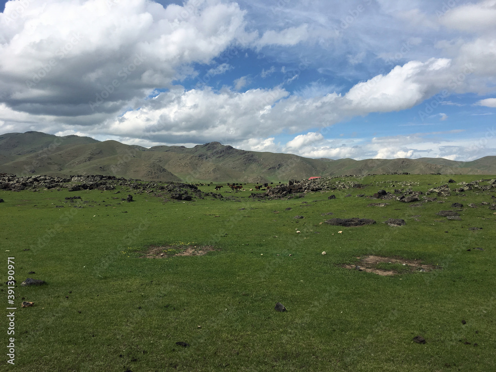 Landscape Mongolia