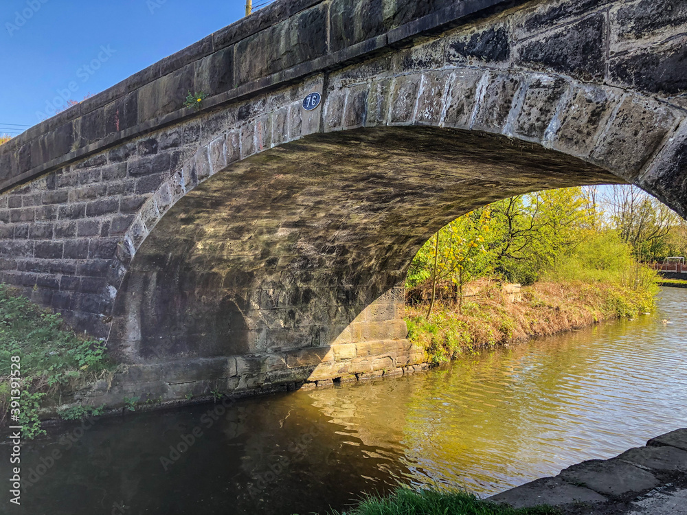 Fototapeta premium bridge over the river