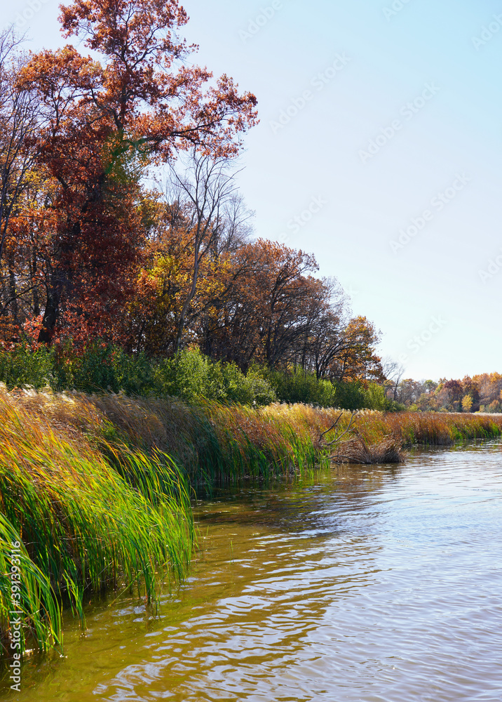 Beautiful Fall Scenery by Lake