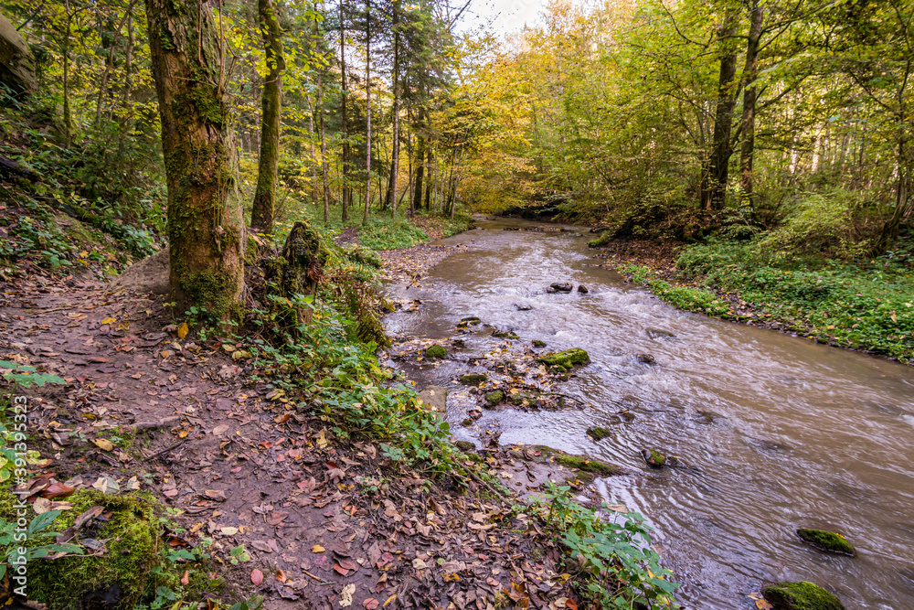 Fantastic autumn hike along the Aachtobel to the Hohenbodman observation tower Fantastic autumn hike along the Aachtobel to the Hohenbodman observation tower