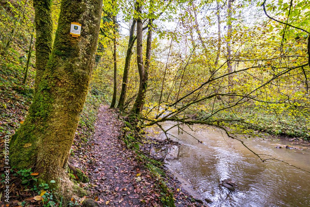 Obraz premium Fantastic autumn hike along the Aachtobel to the Hohenbodman observation tower