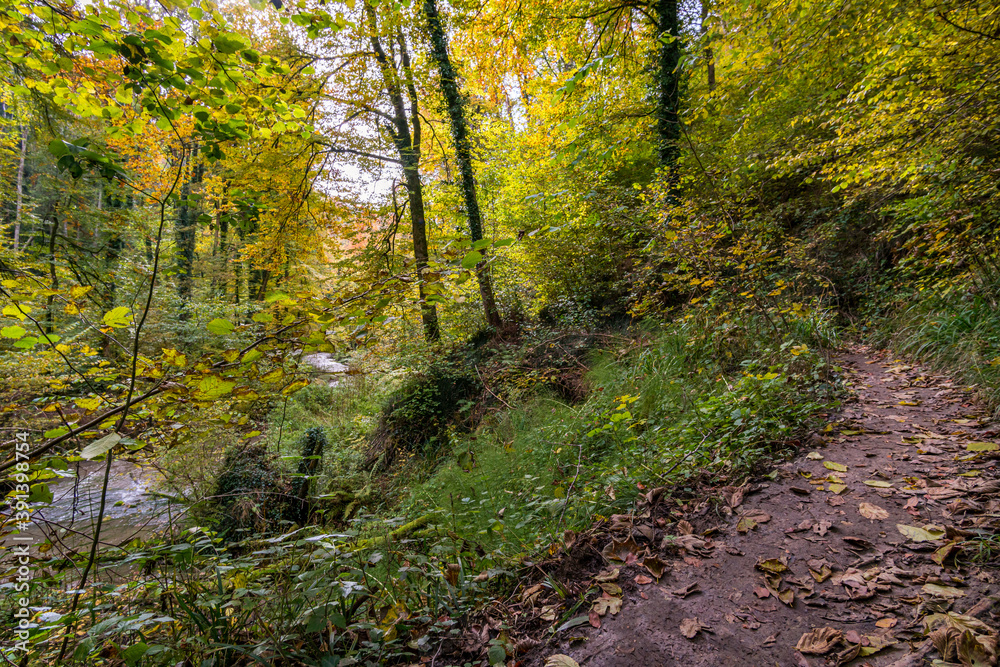 Fantastic autumn hike along the Aachtobel to the Hohenbodman observation tower