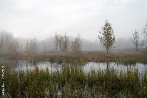 Marais des Pontins
