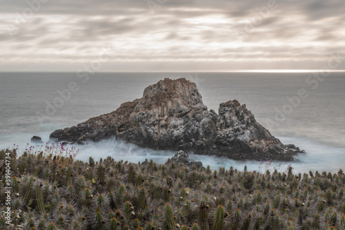 Long exposure of an isle filled with sea lions and surroundes by breaking waves, with a cactus field on the foreground and a cloudy sky on the background photo