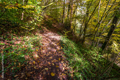 Fantastic autumn hike along the Aachtobel to the Hohenbodman observation tower