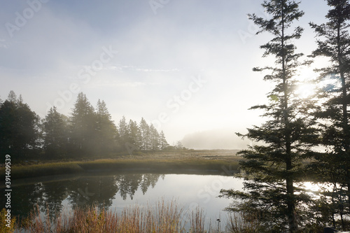 Misty morning on the lake