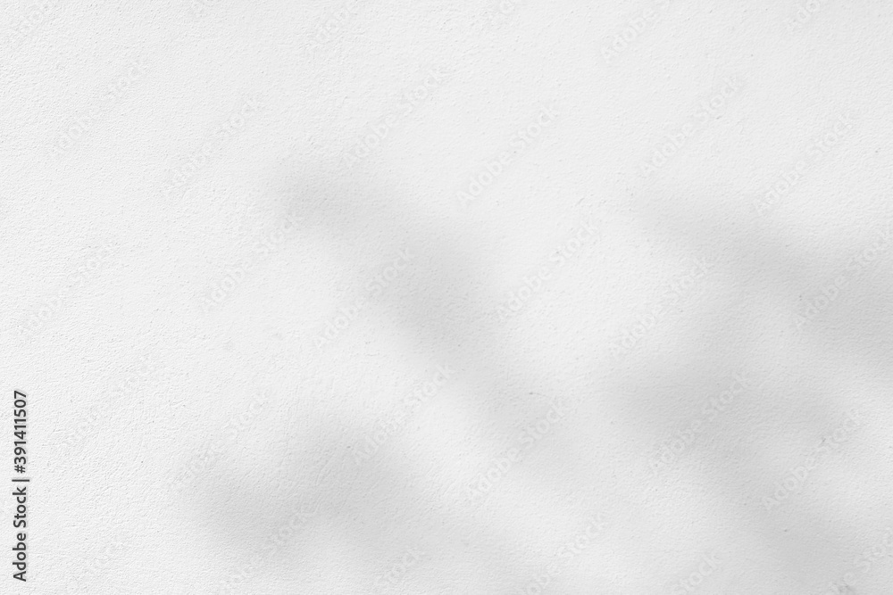 Abstract shadows nature. Gray shadows trees leaf on white wall. Concept blurred background.White and Black.Texture shadows
