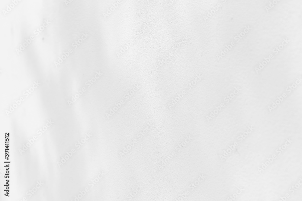 Abstract shadows nature. Gray shadows trees leaf on white wall. Concept blurred background.White and Black.Texture shadows
