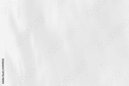 Abstract shadows nature. Gray shadows trees leaf on white wall. Concept blurred background.White and Black.Texture shadows 